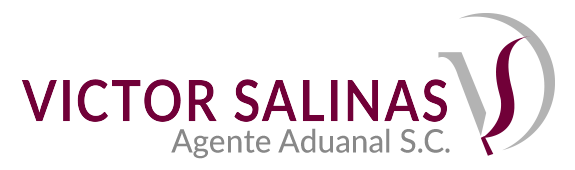 Vsalinas Agente Aduanal